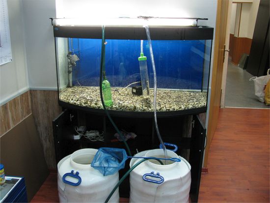 Подготовка аквариума