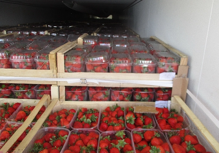 Перевозка клубники